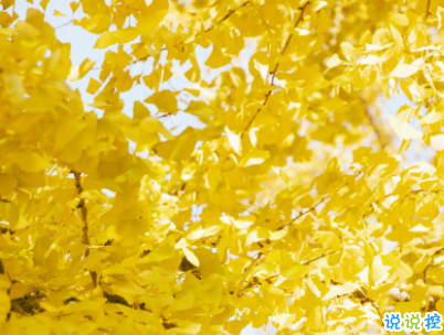 立秋朋友圈说说带图片 2019立秋节气经典说说