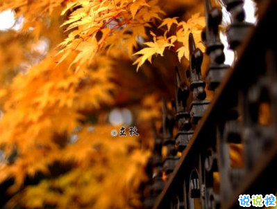 立秋朋友圈说说带图片 2019立秋节气经典说说