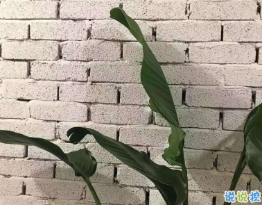 自己心累难受的说说 日后你所有的好坏都与我无