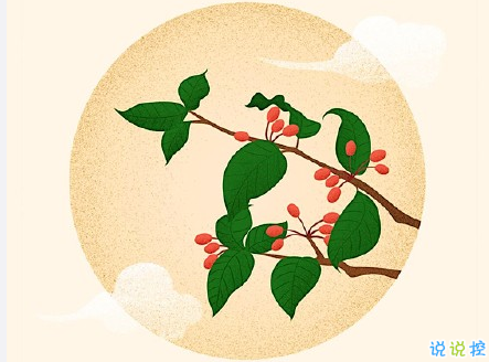 2019重阳节祝福语说说合集 重阳节微信祝福经典