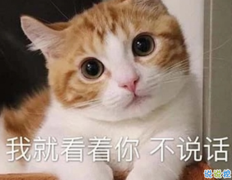 发自拍的搞笑说说 戳中你笑点的幽默句子