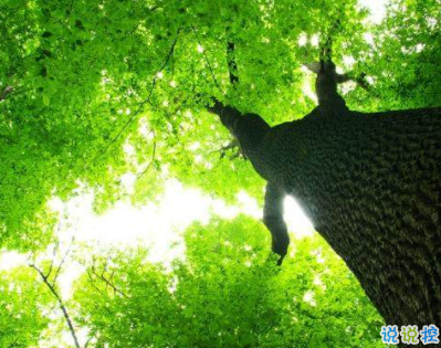 男生朋友圈哲理说说句子 富有哲理的句子唯美经