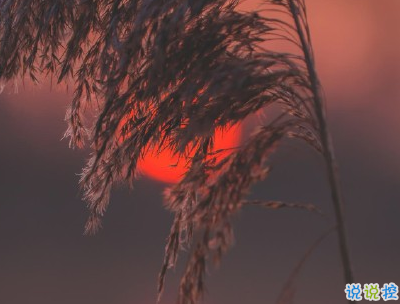 人生感悟简短经典句子配图 决定你命运的是自己