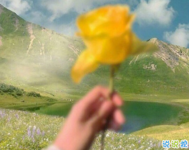 早晨元气满满的说说 朋友圈很励志的早安一句话