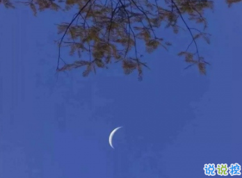 失望心凉的说说2019最新 心凉了再也捂不热的说说