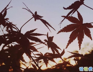 今天好冷的朋友圈说说 变天降温了的说说句子