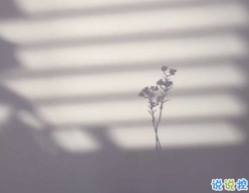 熬夜党专属的朋友圈说说 凌晨发的微信说说大全