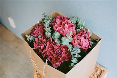 314白*情人节玫瑰花图片 2019白*情人节图片唯美