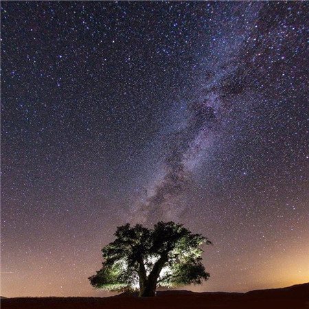 微信朋友圈背景图好看唯美的夜景 失去了别回头