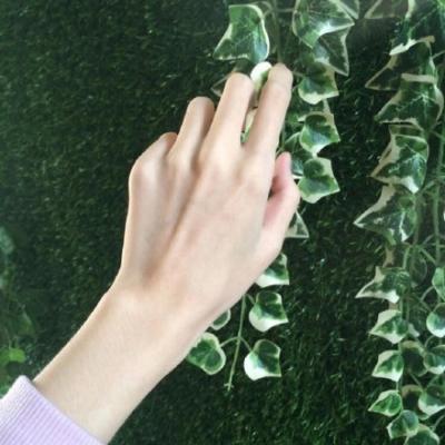 朋友圈背景图片风景唯美高清 简单干净的风景图