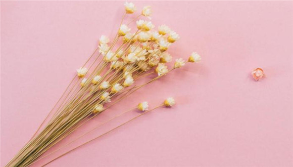 特别漂亮的早安图片2018正能量 美好的一天由一颗