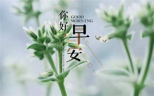 早安心语正能量图片带字大全 做好自己剩下的交