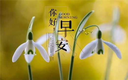 早安心语正能量图片带字大全 做好自己剩下的交