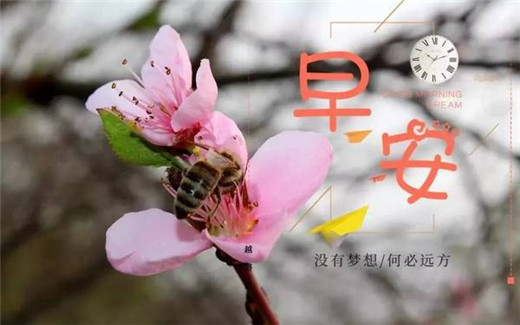 早安心语正能量图片带字大全 做好自己剩下的交
