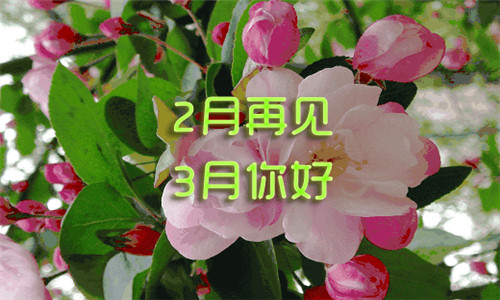 2019二月再见三月你好图片唯美带字 你好三月朋友
