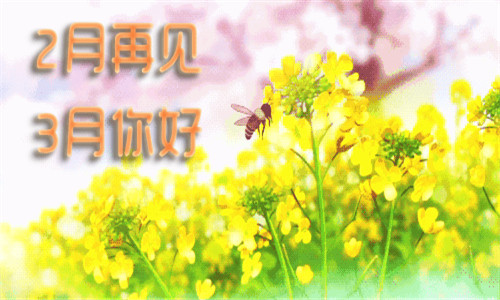 2019二月再见三月你好图片唯美带字 你好三月朋友