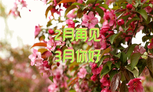 2019二月再见三月你好图片唯美带字 你好三月朋友