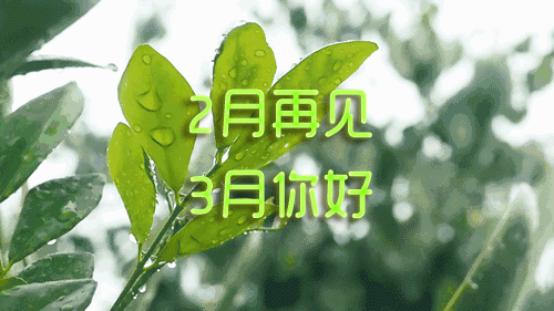2019二月再见三月你好图片唯美带字 你好三月朋友