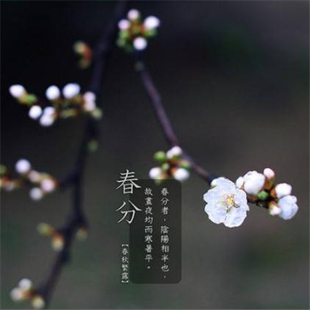 春分好看的风景图片大全带字 2019春分唯美图片高