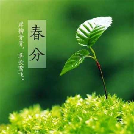 春分好看的风景图片大全带字 2019春分唯美图片高
