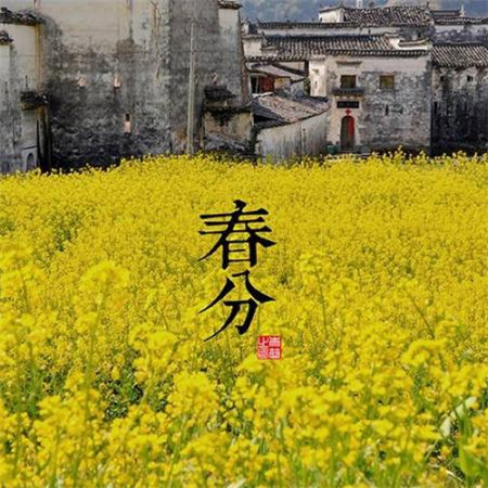 春分好看的风景图片大全带字 2019春分唯美图片高