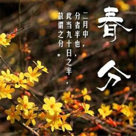 春分好看的风景图片大全带字 2019春分唯美图片高