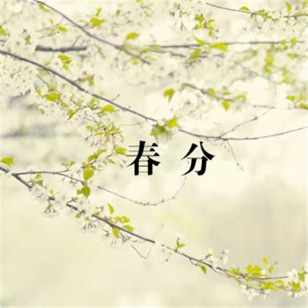 春分好看的风景图片大全带字 2019春分唯美图片高