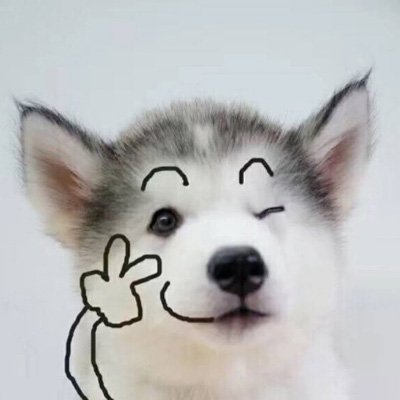 呆萌搞笑的狗狗情侣头像 最新微信可爱小狗头像