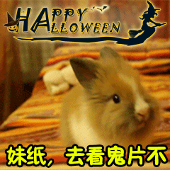 万圣节gif表情包大全2018 最新的万圣节表情包可爱