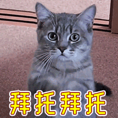 猫咪动态表情包大全2018 猫咪搞笑可爱gif表情包全