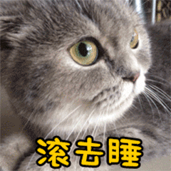 猫咪动态表情包大全2018 猫咪搞笑可爱gif表情包全