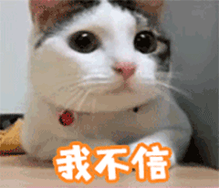 猫咪动态表情包大全2018 猫咪搞笑可爱gif表情包全