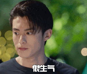 流星花园王鹤棣gif表情包大全 流星花园道明寺生