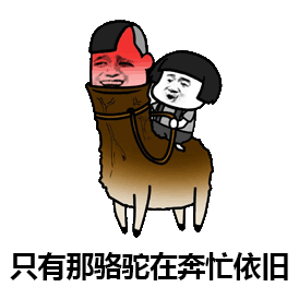 抖音沙漠骆驼gif表情包大全 最火爆的沙漠骆驼搞