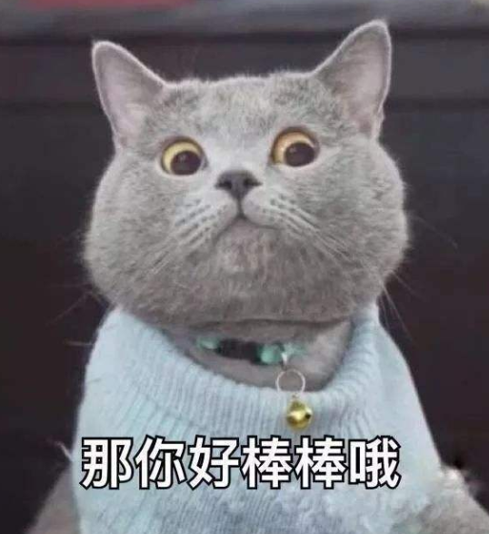 让人笑yue的朋友圈文案