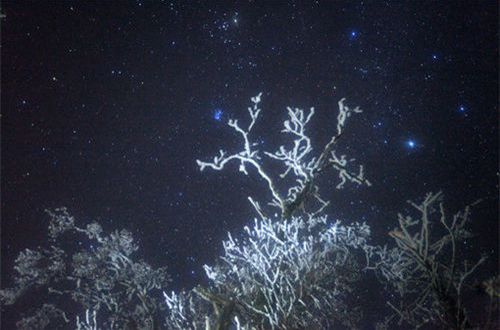 好朋友忽冷忽热的伤感说说43句