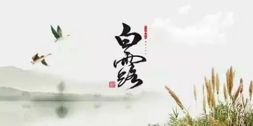 白露祝福语温馨的话集合25句