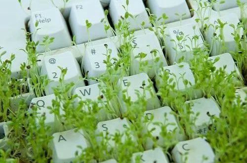 一句话伤感的个性说说2020最新版