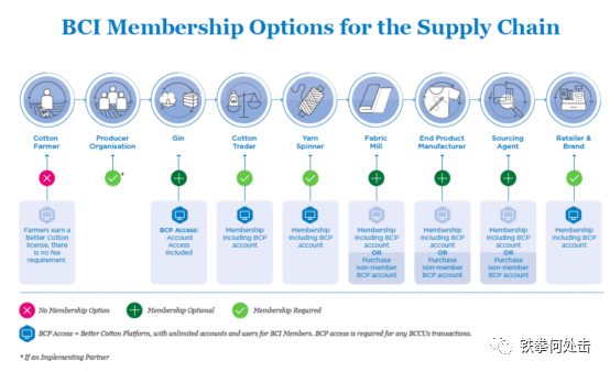 带头抵制新疆棉花，BCI是啥组织？它的中英文声明曾两幅面孔