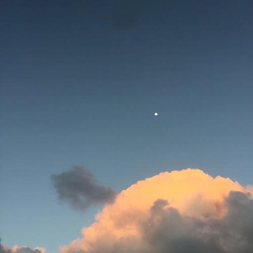 洒脱无情霸气超拽语录精选