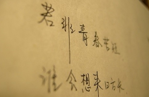 在黑暗里发光 不必等候火炬