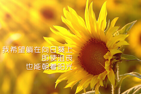 求个人发展 创寿险名牌