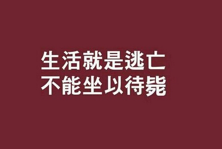 今天不走，明天要跑