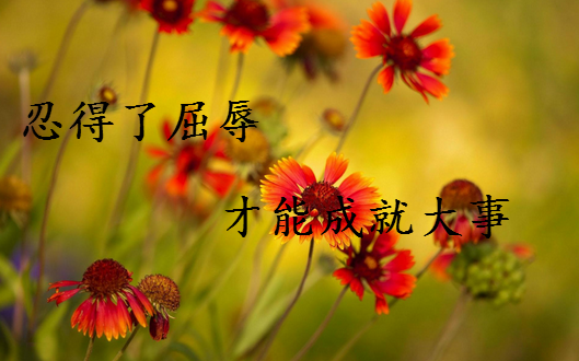 忍得了屈辱 才能成就大事