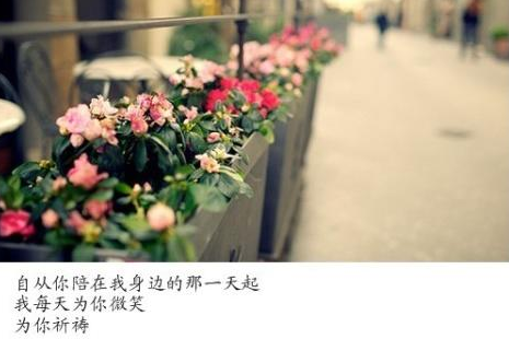 沙漠里的脚印很快就消逝了
