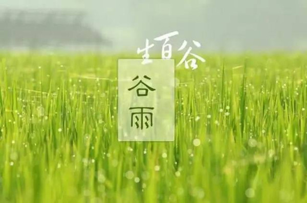 谷雨的诗句