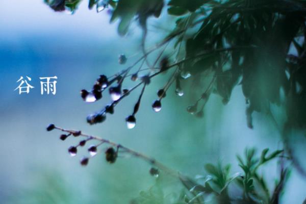 谷雨的诗句