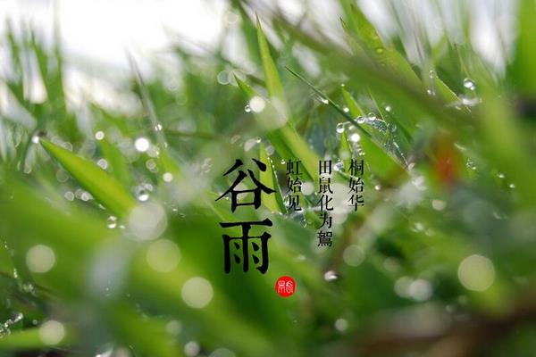 描写谷雨的唯美句子