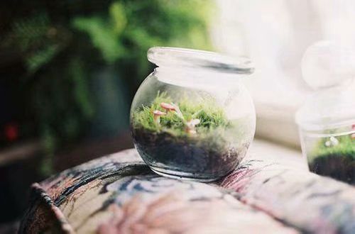 霸气的个性说说带图片