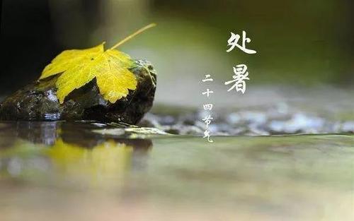 处暑祝福语简短摘抄24句